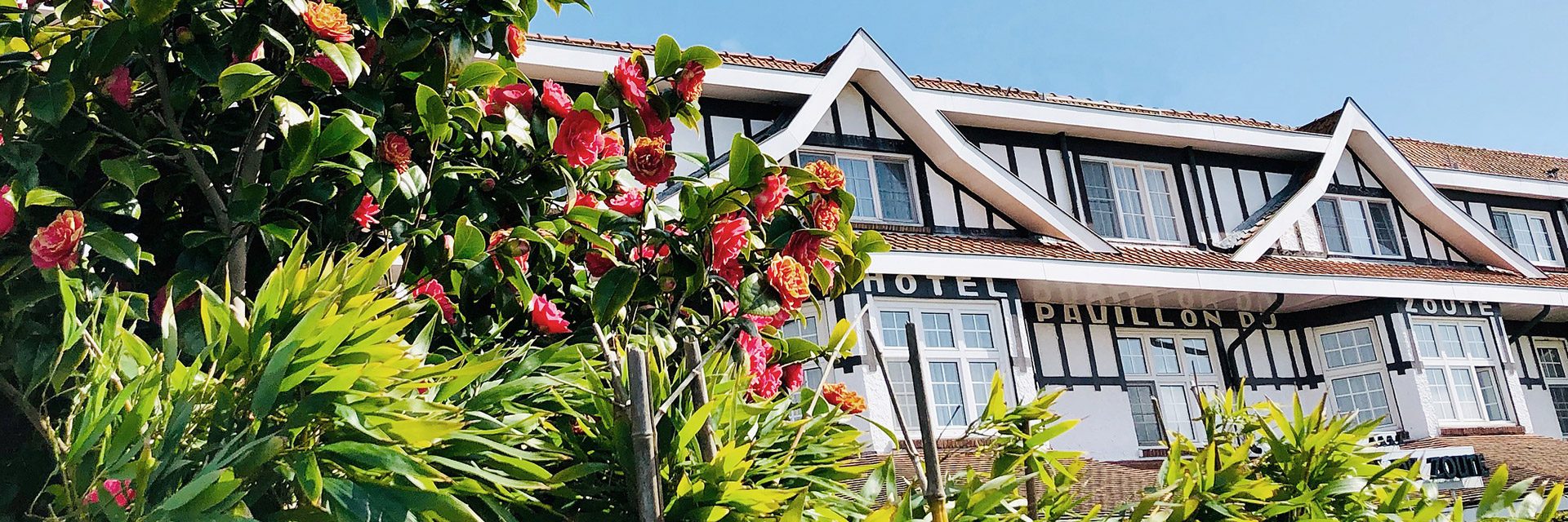 Home - Pavillon Du Zoute